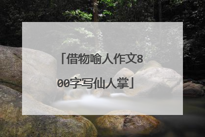 借物喻人作文800字写仙人掌