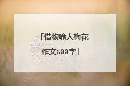 借物喻人梅花作文600字