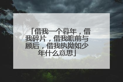 借我一个暮年，借我碎片，借我瞻前与顾后，借我执拗如少年什么意思