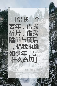 借我一个暮年,借我碎片,借我瞻前与顾后,借我执拗如少年,是什么意思