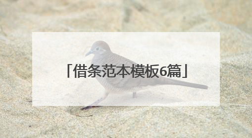 借条范本模板6篇