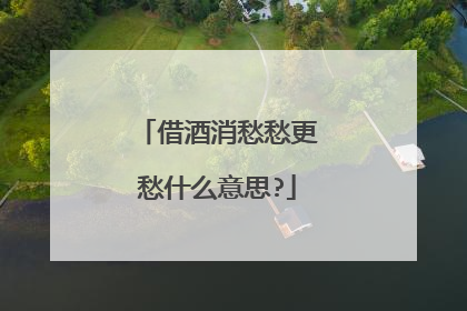 借酒消愁愁更愁什么意思?