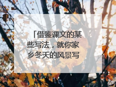 借鉴课文的某些写法，就你家乡冬天的风景写一个片段。注意抓住特点来
