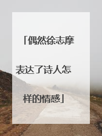 偶然徐志摩表达了诗人怎样的情感