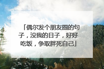 偶尔发个朋友圈的句子,没我的日子,好好吃饭,争取胖死自己