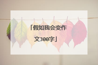 假如我会变作文300字
