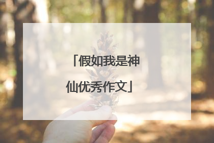 假如我是神仙优秀作文
