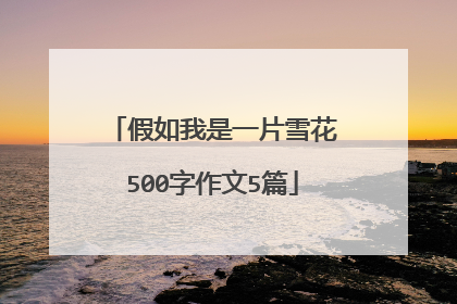 假如我是一片雪花500字作文5篇