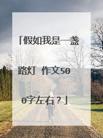 假如我是一盏路灯 作文500字左右?