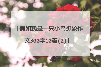 假如我是一只小鸟想象作文300字10篇(2)