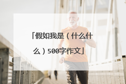 假如我是（什么什么）500字作文