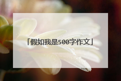 假如我是500字作文