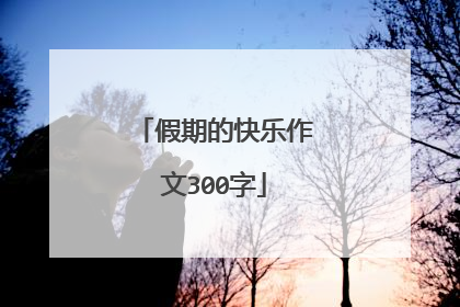 假期的快乐作文300字