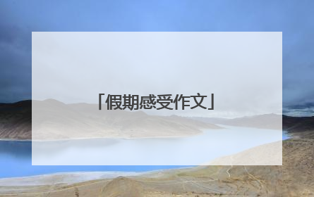 假期感受作文