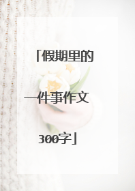 假期里的一件事作文300字