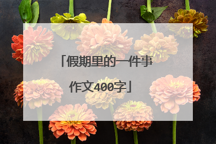 假期里的一件事作文400字