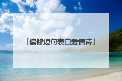 偏僻短句表白爱情诗