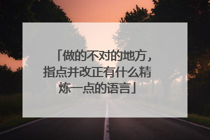 做的不对的地方,指点并改正有什么精炼一点的语言
