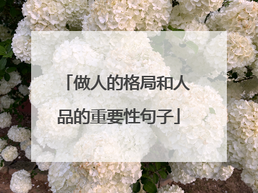 做人的格局和人品的重要性句子