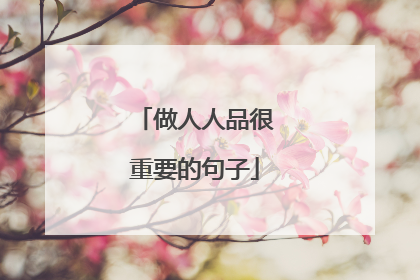 做人人品很重要的句子