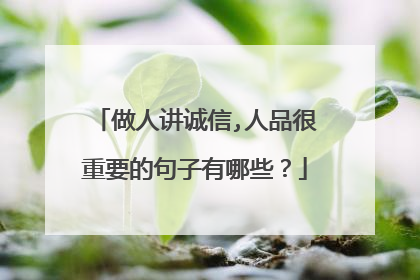 做人讲诚信,人品很重要的句子有哪些?