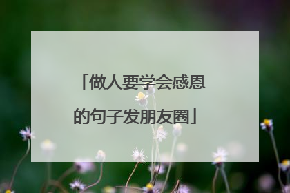 做人要学会感恩的句子发朋友圈