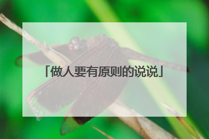 做人要有原则的说说