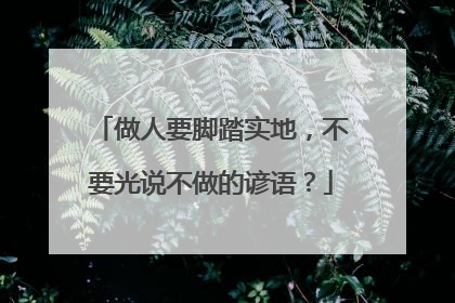 做人要脚踏实地,不要光说不做的谚语?