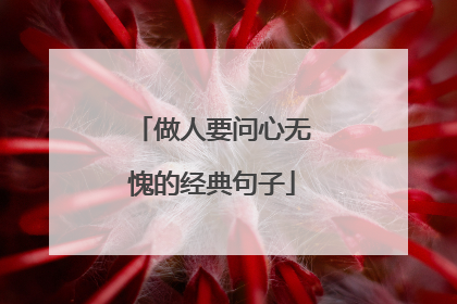 做人要问心无愧的经典句子