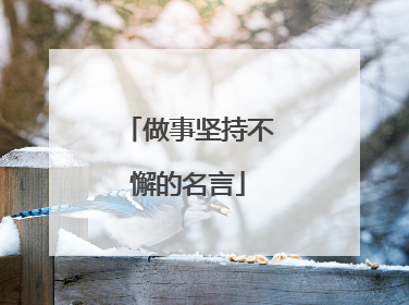 做事坚持不懈的名言