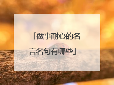 做事耐心的名言名句有哪些