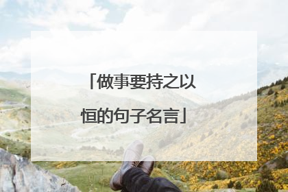 做事要持之以恒的句子名言