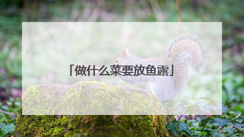 做什么菜要放鱼露