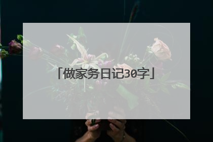 做家务日记30字