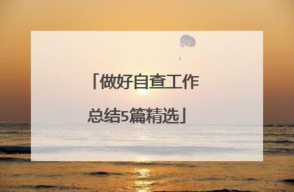 做好自查工作总结5篇精选