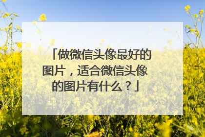 做微信头像最好的图片，适合微信头像的图片有什么？
