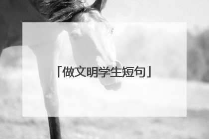 做文明学生短句