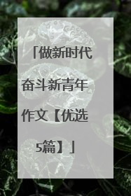 做新时代奋斗新青年作文【优选5篇】