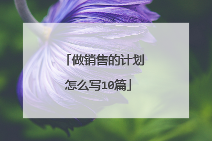 做销售的计划怎么写10篇