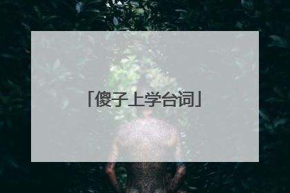傻子上学台词