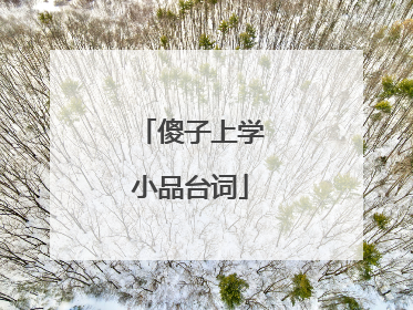 傻子上学小品台词