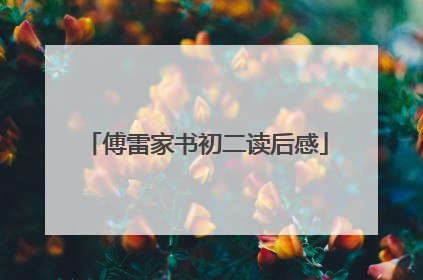 傅雷家书初二读后感