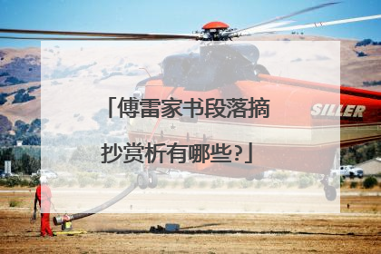 傅雷家书段落摘抄赏析有哪些?