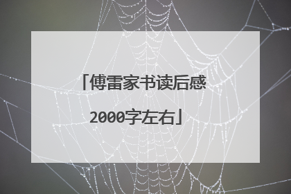 傅雷家书读后感2000字左右