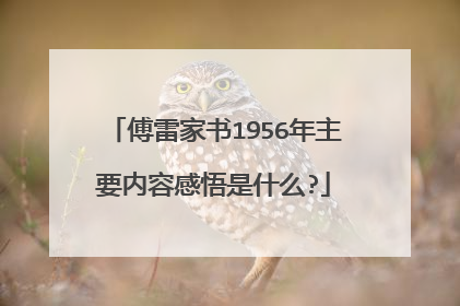 傅雷家书1956年主要内容感悟是什么?