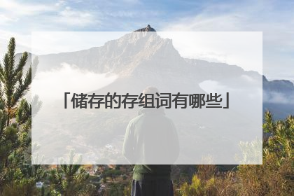 储存的存组词有哪些