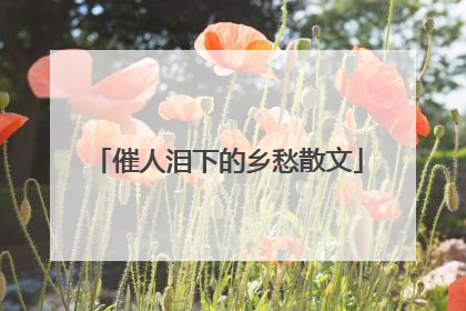 催人泪下的乡愁散文