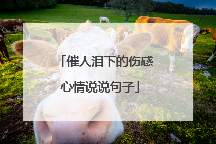 催人泪下的伤感心情说说句子