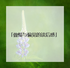 傲慢与偏见的读后感