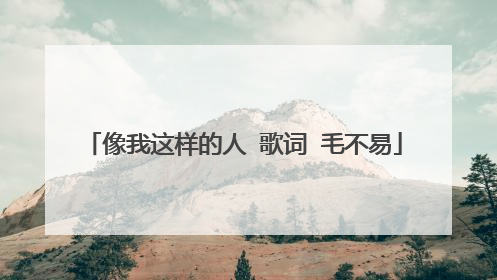 像我这样的人 歌词 毛不易